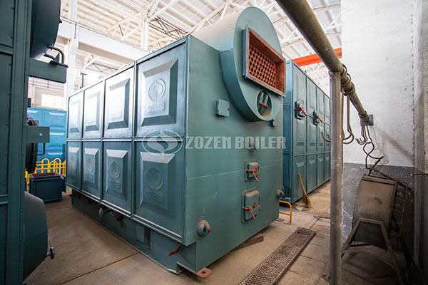 DZL boiler cost
