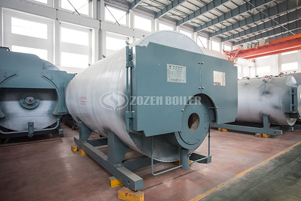 WNS natural gas boiler