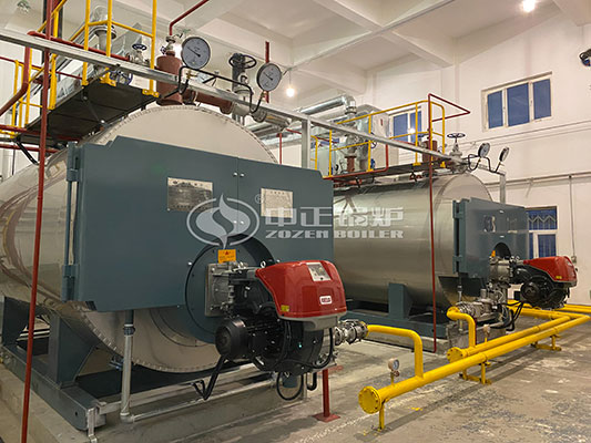 5 ton diesel hot water boiler