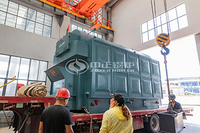 DZL biomass fired steam boiler