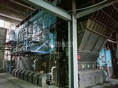20 ton szl steam boiler