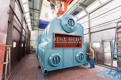 dzl biomass steam boiler
