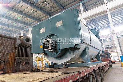 wns gas fired steam boiler