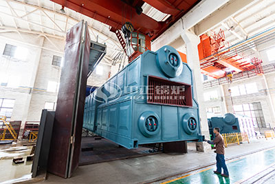 zozen coal fired steam boiler