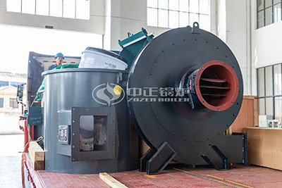 dzl coal fired boiler