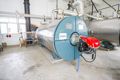 gas-fired thermal oil boiler