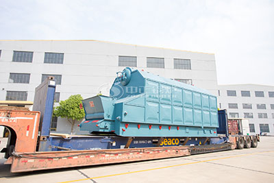 6 ton coal-fired steam boiler