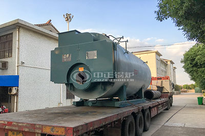wns condensing gas fired boiler