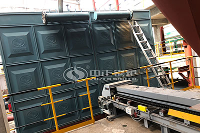 biomass thermal fluid heaters