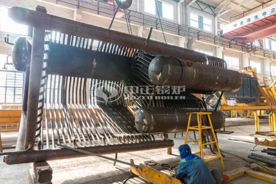 szl biomass fired boiler