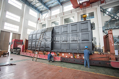 dzl coal steam boilers