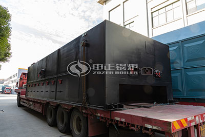 chain grate of biomass fired boiler