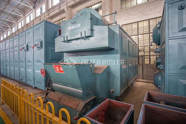 biomass fired steam boiler