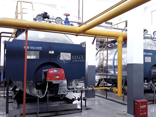 wns steam boiler cost