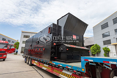 15 ton dzl coal fired steam boiler