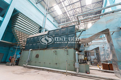 15 ton szl coal fired steam boiler