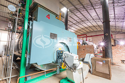 10 ton wns gas steam boiler