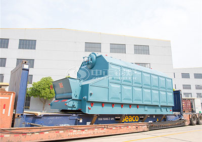 6tph packaged chain grate steam boiler