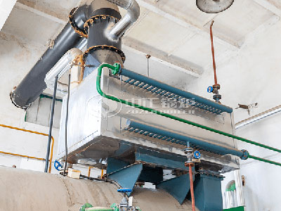 WNS gas boiler condenser
