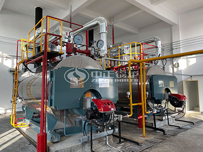 WNS gas steam boiler