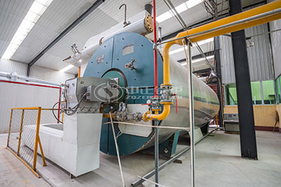 gas fired thermal oil boiler