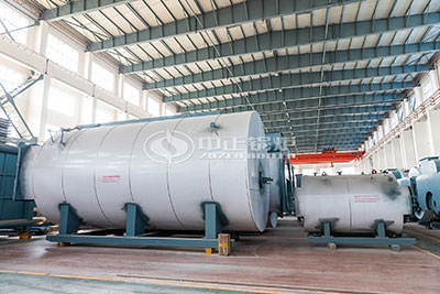 wns gas fired oil fired boiler