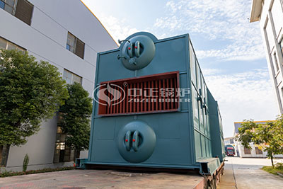 6 ton biomass-fired boiler