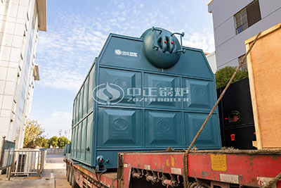 6 Ton Biomass-fired Boiler in Indonesia