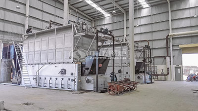 szl 10 ton biomass-fired steam boiler