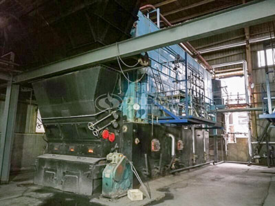 szl 20 ton biomass fired steam boiler