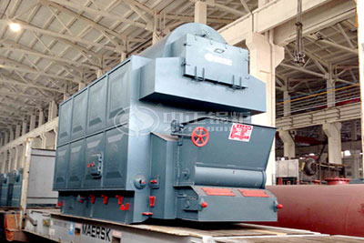 DZL biomass-fired steam boiler