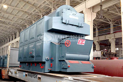 DZL biomass pellet boiler