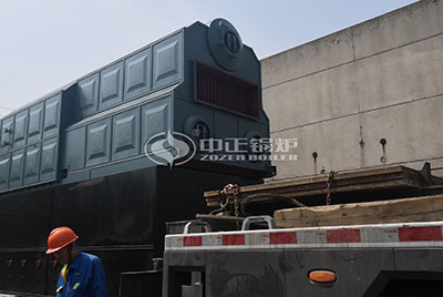 10 ton dzl wood biomass boiler