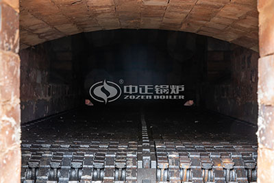 biomass-fired steam boiler