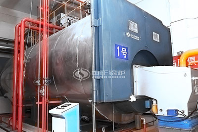 Professional WNS Gas Boiler for Textile Factory