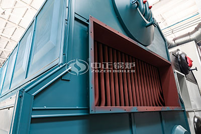 details of biomass-fired hot water boiler