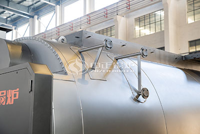 wns gas-fired boiler