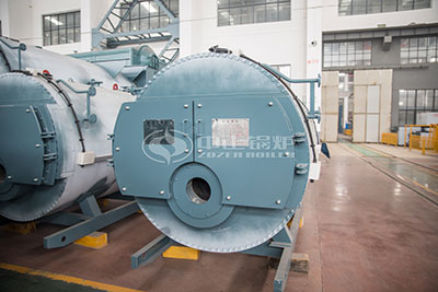 wns gas-fired condensing boiler