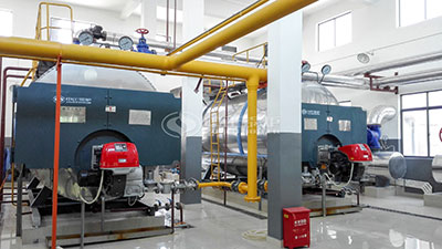wns gas package boiler