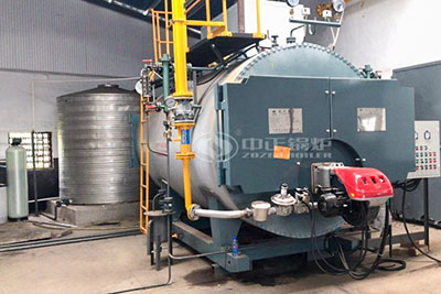 3 ton gas steam boiler for food factory