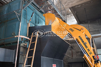 4 ton dzl coal-fired boiler