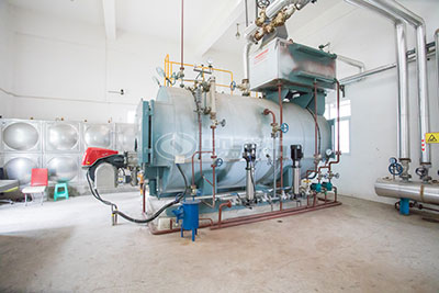 1ton WNS Condensing Gas Steam Boiler in Zimbabwe