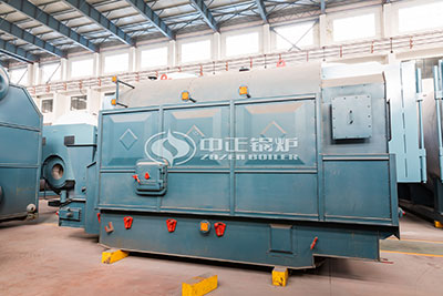 professional biomass fired boiler