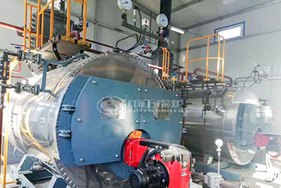 wns condensing gas steam boiler