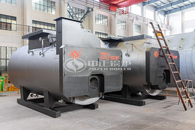 wns gas fired boiler price