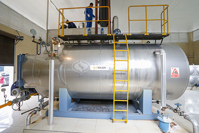 wns gas steam boiler site