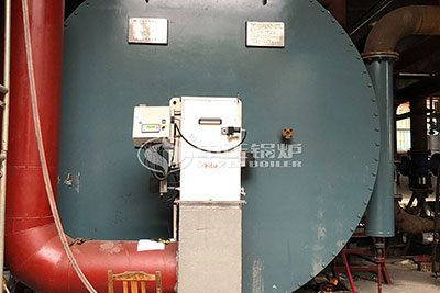 10 Million Kcal Gas-fired Thermal Oil Heater for Textile Plant