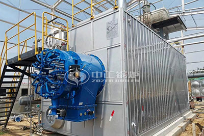 industrial gas oil fired boiler