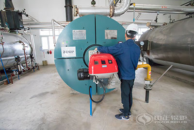 wns gas boiler supplier