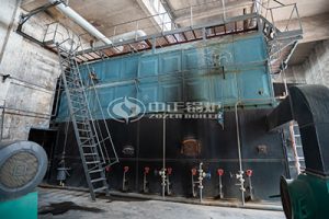 15 ton dzl coal steam boiler